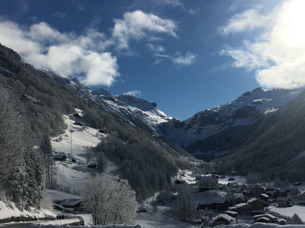 Hotel Alpina Unterschächen Eksteriør billede